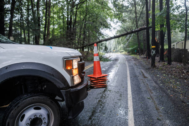 istock Fallen tree blocks forest path. White emergency vehicle responds to storm damage in Pocono Mountains 2197013758