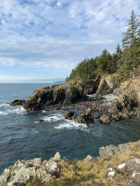 istock Rugged coastline in the Pacific Northwest 2197014099