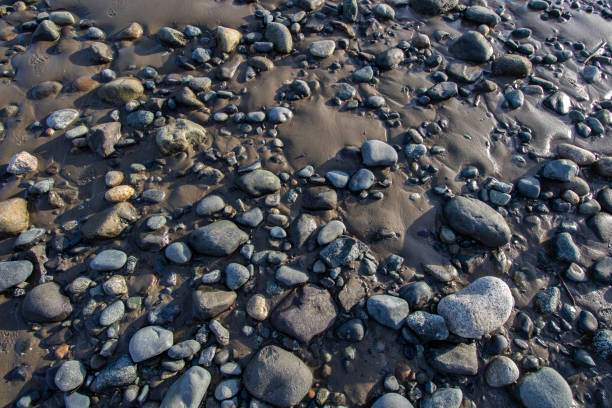 Rocks and pebbles in the sand at the beach at low tide
