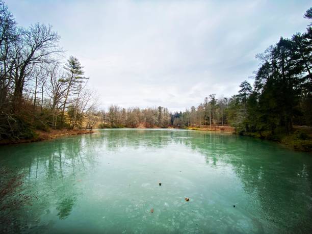 Pond in Winter with Melting Ice in a Wooded Area