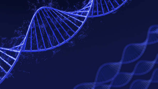 istock Conceptual background illustration of DNA structure,Genetic editing technology for life,3d rendering 2197018586