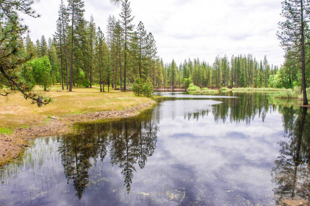 istock Calm California Lake With Reflection 2197023584