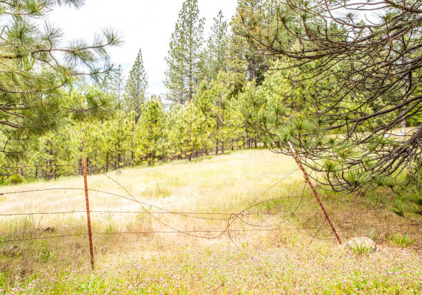 Free Stock Photo of Barbed Wire Fence Along Grass Field | Download Free ...