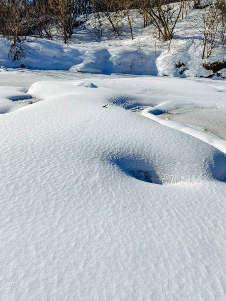 A vast, snowy field stretches out before you, dotted with trees in the background, creating a serene and picturesque winter landscape that captures the beauty of nature in its coldest form