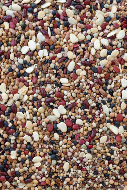 istock Mixed dried legumes food texture background, Top view image. 2197027507