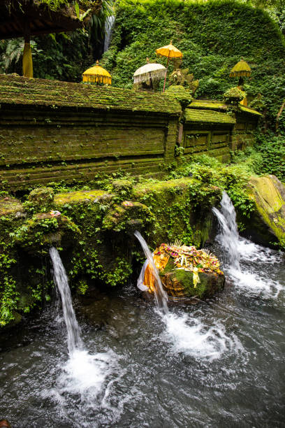istock A small temple used for holy ablutions. Haunted and covered in moss, with offerings, beautiful statues and because. Sacred springs and holy water in Bali, Indonesia 2197032462