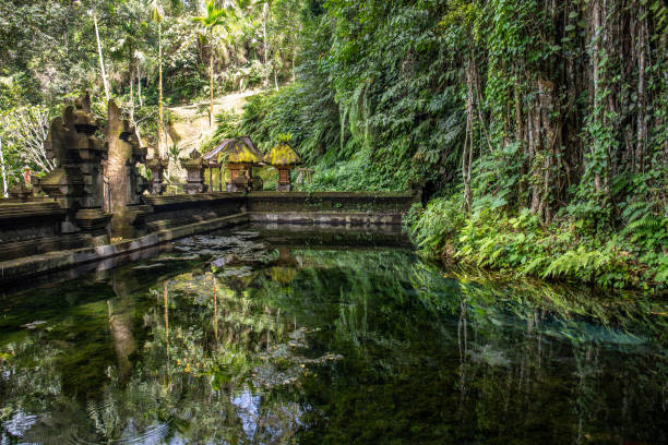 istock A small temple used for holy ablutions. Haunted and covered in moss, with offerings, beautiful statues and because. Sacred springs and holy water in Bali, Indonesia 2197032679