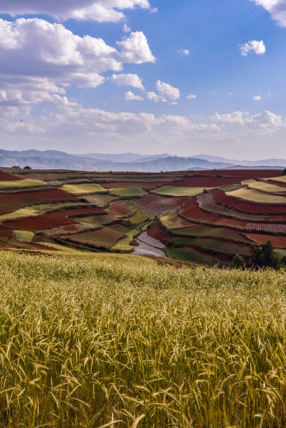 istock China - Dongchuan Red Land - Yunnan 2197036962