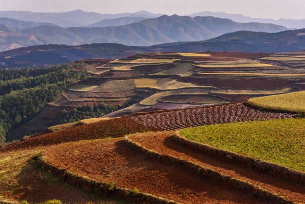 istock China - Dongchuan Red Land - Yunnan 2197037062