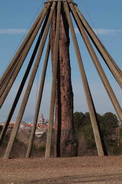 istock A large tree trunk is the central support for a radial wooden structure, possibly a traditional construction or art installation. 2197038895