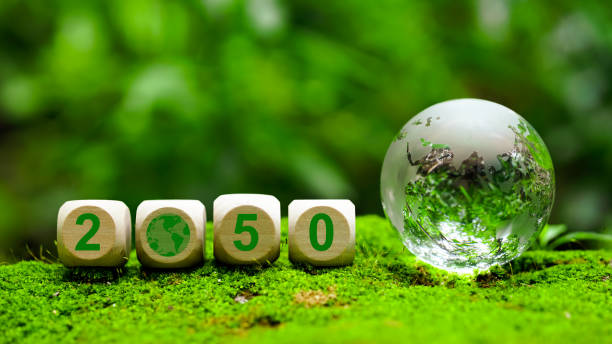 istock 2050 Net zero. Carbon neutral. Net zero greenhouse gas emissions target. Decarbonization long term strategy. No toxic gases. wooden cubes with net zero icon in 2050 on grey background. 2197039182