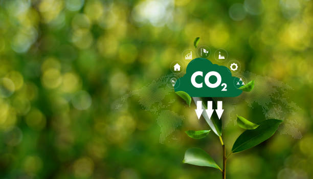 istock representing eco-friendly transport A leafy green plant with a CO2 cloud on top. 2197039527