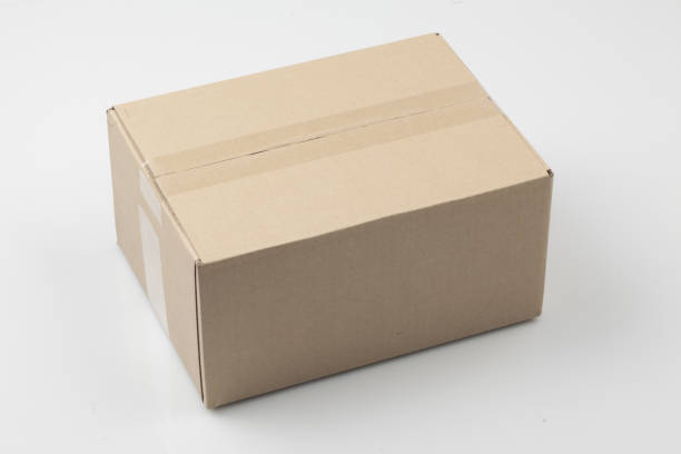 istock A thin object made from vegetable fiber. It is mainly used for writing, drawing, or printing. 2197040976