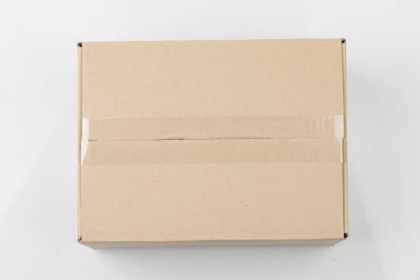 istock A thin object made from vegetable fiber. It is mainly used for writing, drawing, or printing. 2197040985