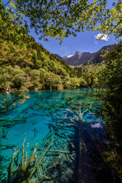 istock Jiuzhaigou & Huanglong, Sichuan, China 2197043984