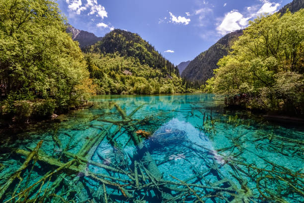 istock Jiuzhaigou & Huanglong, Sichuan, China 2197045328