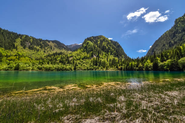 istock Jiuzhaigou & Huanglong, Sichuan, China 2197045409