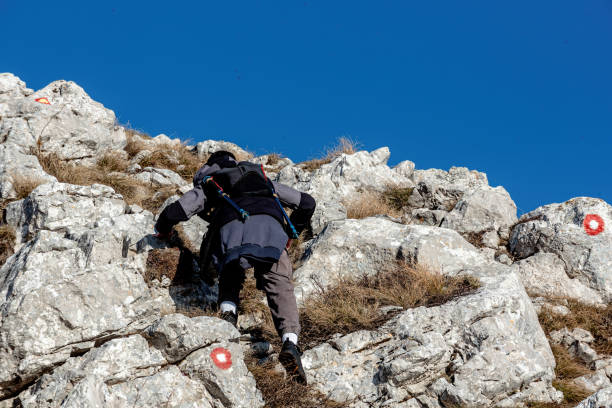 A dedicated hiker equipped with a backpack explores a challenging rocky slope under pristine conditions. The scene captures the sense of adventure, resilience, and exploration in unspoiled mountainous terrain.