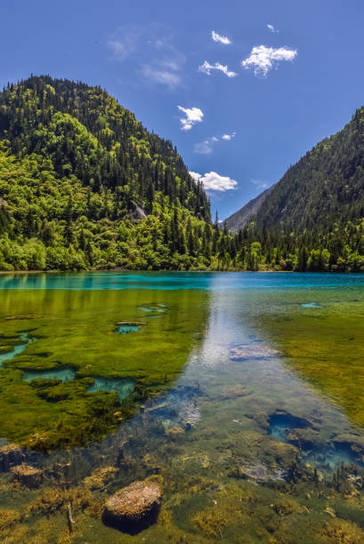 istock Jiuzhaigou & Huanglong, Sichuan, China 2197046790