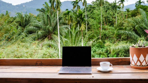 istock Enjoying a serene workspace with a view in tropical Thailand 2197046801