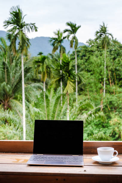 istock Working remotely in tropical paradise with coffee in Bali and lush greenery around 2197046804