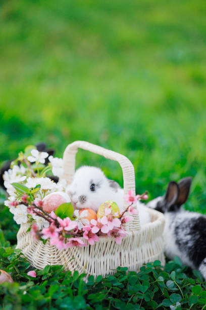 A basket of Easter eggs is placed on the grass, with two baby rabbits sitting in it. The basket is filled with flowers and eggs, creating a festive and playful atmosphere