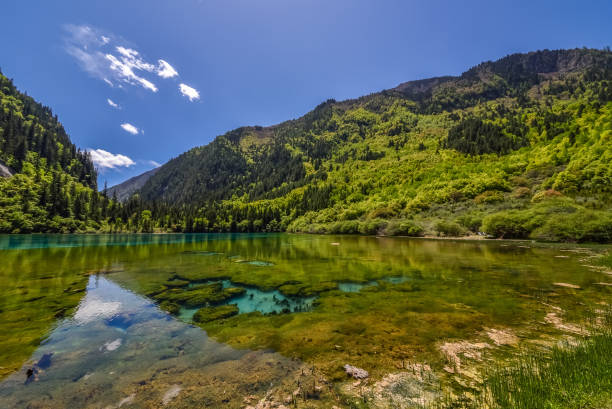 istock Jiuzhaigou & Huanglong, Sichuan, China 2197047667