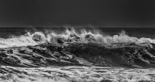 istock A great ocean wave and its foam in black and white 2197048760