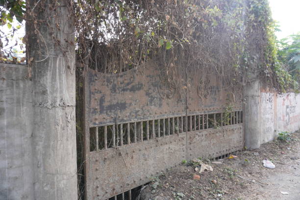 istock The old rusted iron gate has been closed due to weed on it and soil also stuck on the down of the gate 2197049050