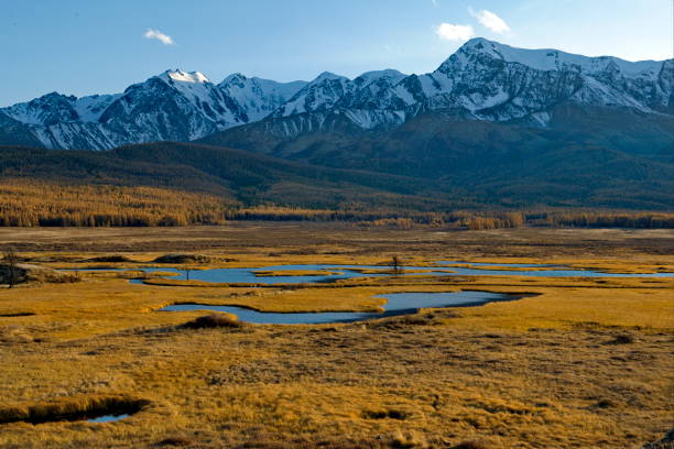 istock Swampy channels of the lake 2197052363