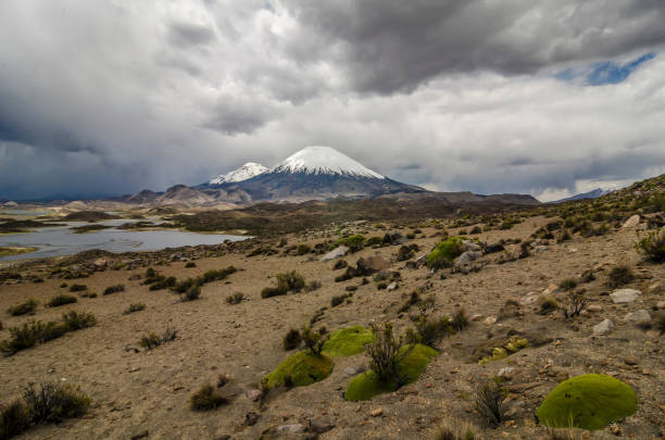 istock Chile - Lauca National Park - Arica 2197053275