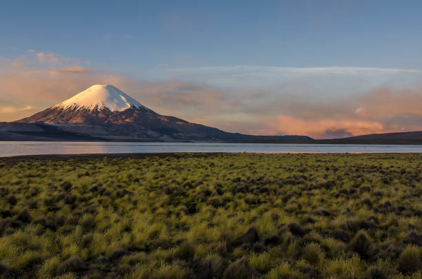 istock Chile - Lauca National Park - Arica 2197053360