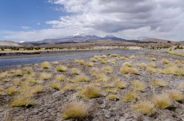 Lauca National Park, Chile – Nestled in the Chilean Altiplano near the Bolivian border, Lauca National Park is a breathtaking expanse of high-altitude landscapes, snow-capped volcanoes, and shimmering lakes. The park’s crown jewel, Lake Chungará, sits at over 4,500 meters above sea level, reflecting the towering Parinacota and Pomerape volcanoes in its pristine waters. Home to diverse wildlife, including vicuñas, flamingos, and Andean condors, Lauca offers an untouched wilderness rich in biodiversity. The park is also dotted with ancient pre-Columbian ruins and small Andean villages, preserving the cultural heritage of the Aymara people. With its dramatic scenery and remote beauty, Lauca National Park is a paradise for nature lovers and adventure seekers exploring Chile’s far north.