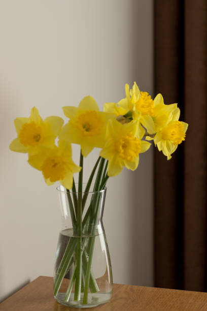 istock Elegant Yellow Daffodils in Clear Glass Vase 2197053797