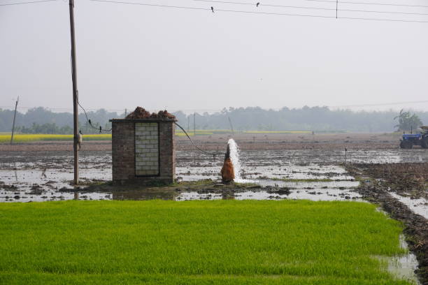istock The bricks structure to keep the water pump in the agricultural field 2197054067