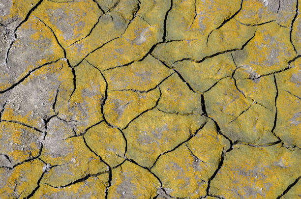 Lake shrinks due to extreme heat and long time drought and leave barren cracked land. Cracks on land surface.