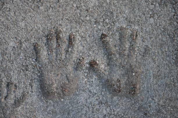 istock hands marked in the cement when it was wet 2197055660