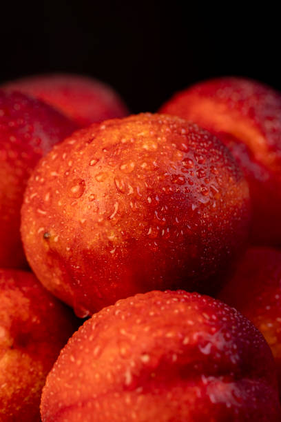 a small harvest of ripe washed nectarines in drops