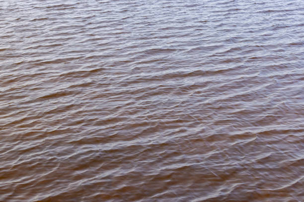 istock dark muddy lake water in winter without snow 2197069821