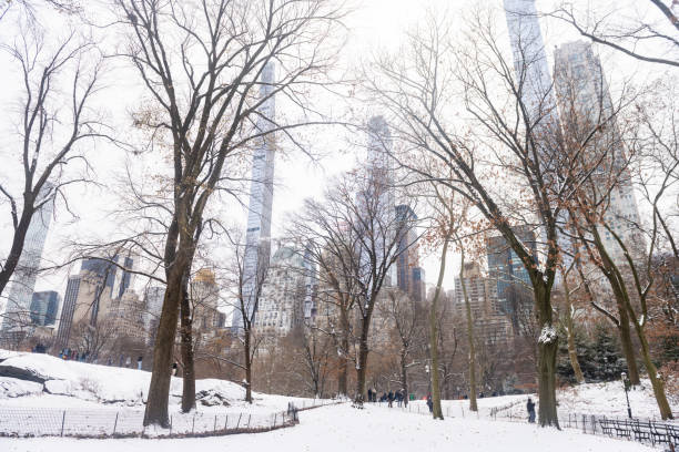 This is a landscape photograph of a snow covered footpath in Central Park, NYC on a winter day. Midtown skyscrapers are visible through the branches of the bare trees and incidental people are in the distance.