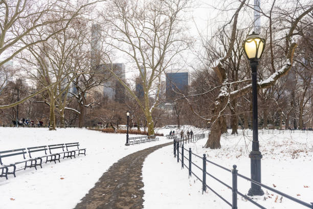 This is a photograph of a winding footpath through the snow covered landscape in Central Park on a winter day in New York City.