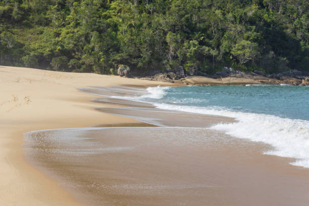 istock Lagoa Beach, Ubatuba: Turquoise Waves, Yellow Sand, and Forest-Covered Hills on a Sunny Day 2197075866