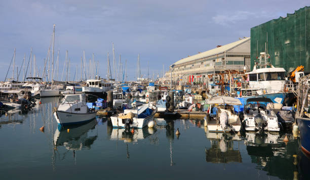 Tel Aviv-Yafo, Israel - November 20, 2024: Port of Old Jaffa (Yafo) is one of the most famous tourist sites in the world