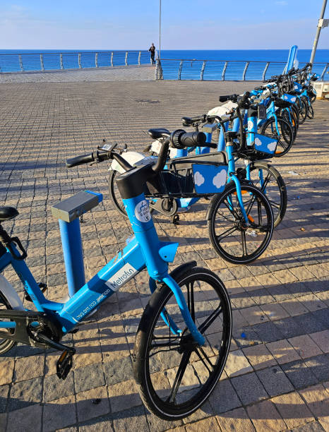 Tel Aviv-Yafo, Israel - January 8, 2025: Bicycles for rent at the parking lot on the Homat HaYam Promenade on the Mediterranean coast of Tel Aviv-Yafo (Yaffo)