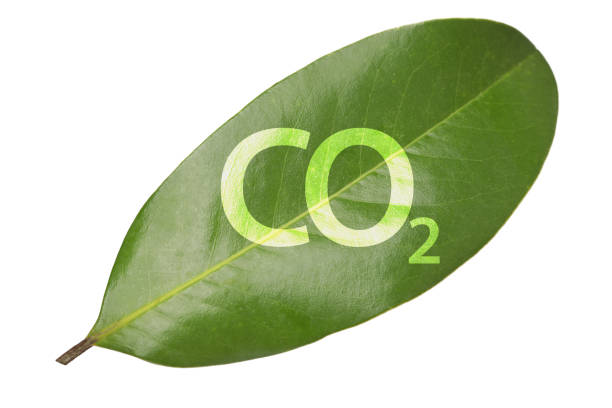 istock Green leaf with co2 symbol on white background 2197079319