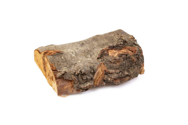 istock Single fire wood log,  isolated on white background 2197079356
