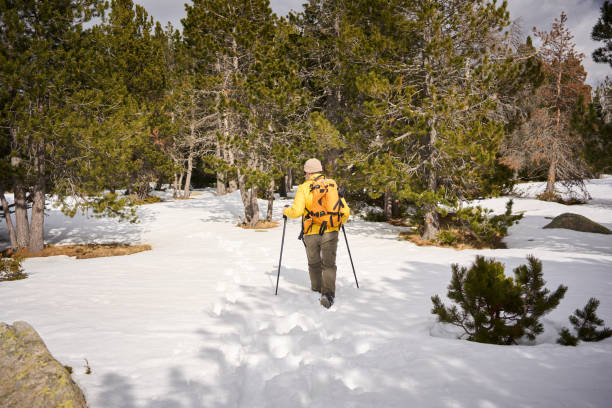 istock Hiker walking in snowy forest trail during winter 2197080978