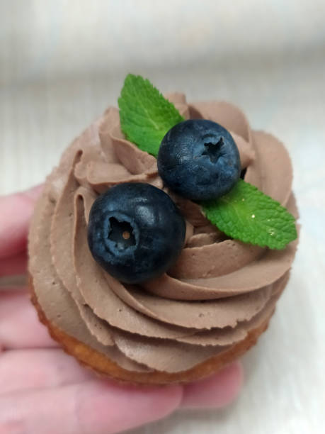 istock Delicious Blueberry Cupcake with Mint on Top 2197086410