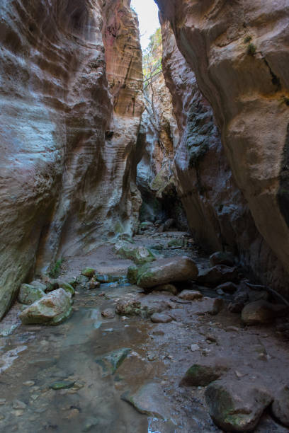 istock Rocky Avakas Gorge in Cyprus 2197090859