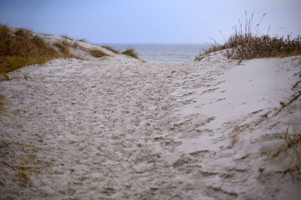 White sand in nature as an abstract background. Texture.